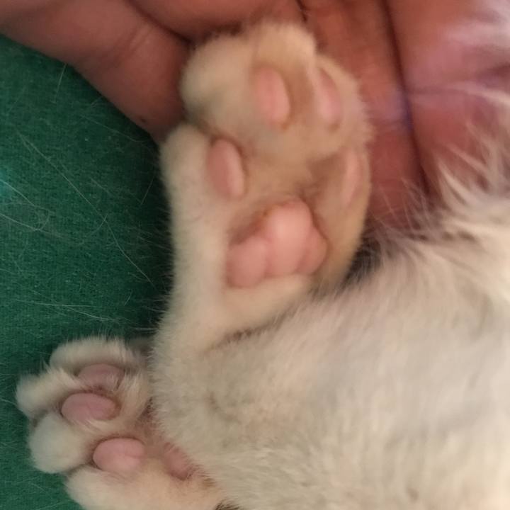 2721f4a8 e69e 452e a68c 84bc95823ab9 1537358722417