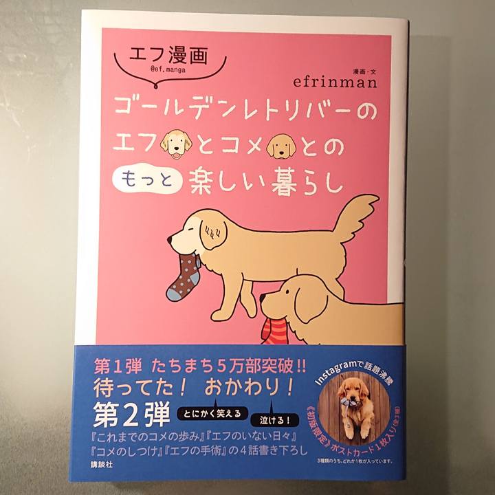 27221b03 f25f 4d79 b39e 8d7925cb2b94 1612015296760