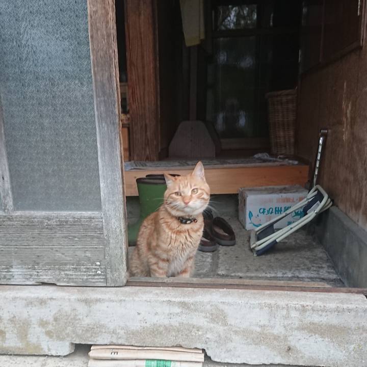 27222692 c690 4f78 af7a 7892d3e80cc7 1652608601037