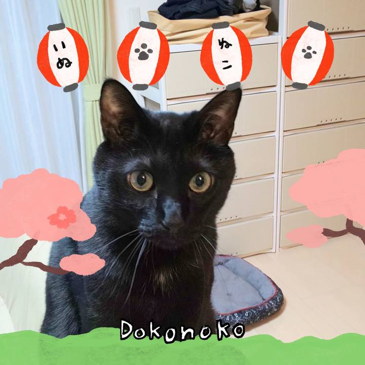 2722460b fff2 459b b145 d3fd9c2d65f6 1712240585881