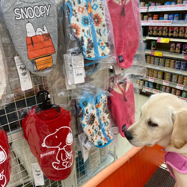 27229df8 4a00 449d b7e8 d1bce41c1777 1614740219387