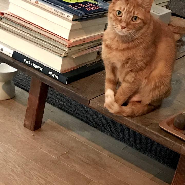 2722e72e b2c0 4aca ada8 37a421378d6c 1549690282394