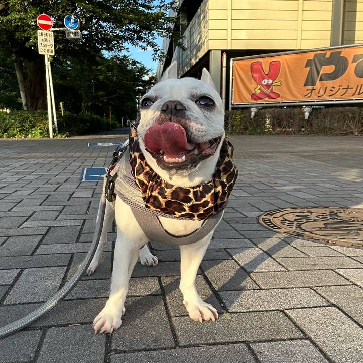 2723373e d35b 4e72 80da 294505e8a63c 1689458647501