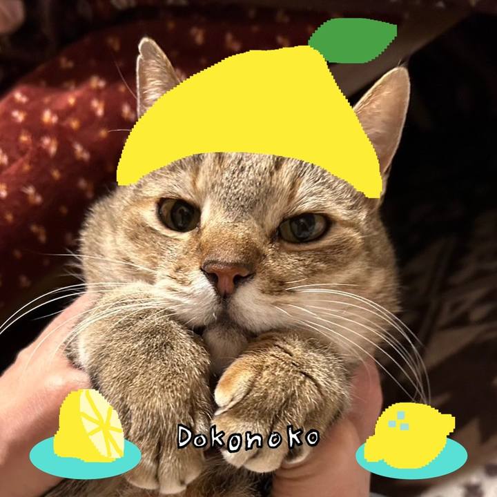 27233b65 1b5b 433d b418 0e9566261554 1741299263628