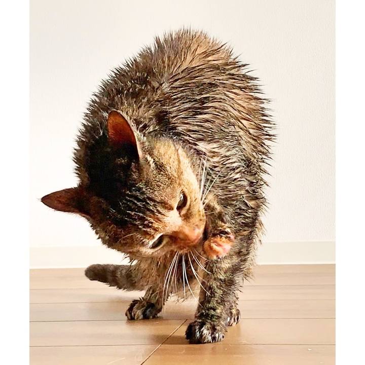 27234901 377c 47fa b0b5 56ba27010af5 1557009665018