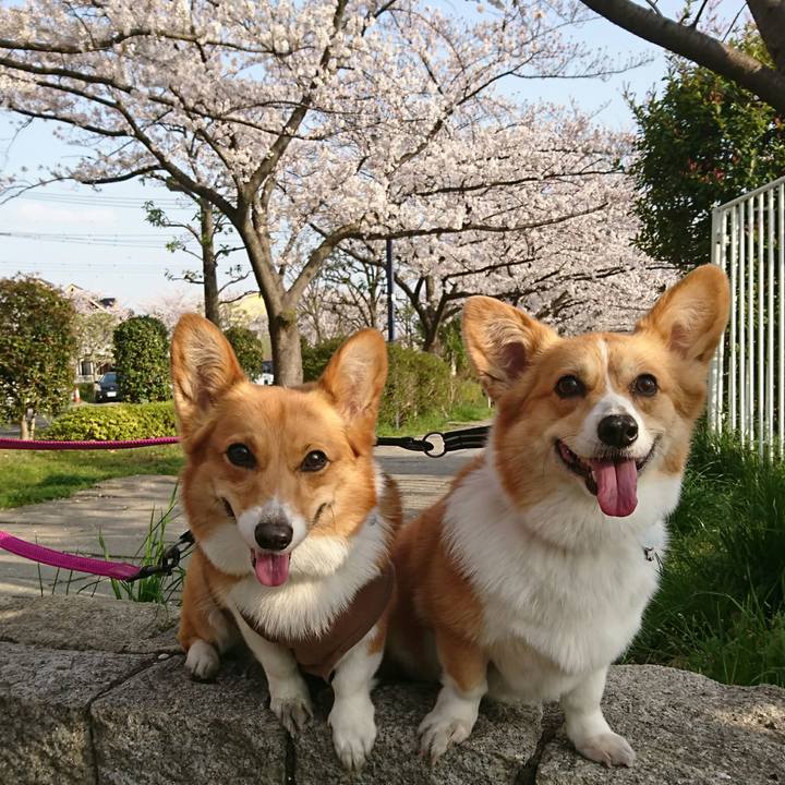 27237b7d 8c66 4ec6 a675 e9dcd826e844 1554540982942