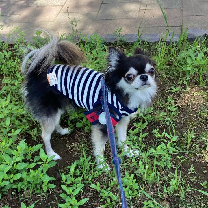 2723a9dd 1afb 41e3 b7df 3ed7b6e83d71 1714840085542