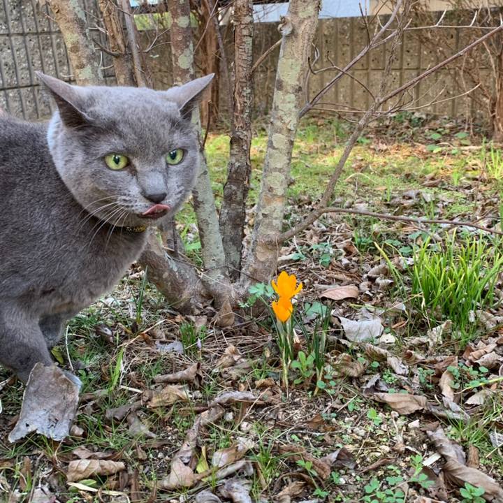 27240546 afe8 4696 86dc 896b6baa38b0 1551062197285