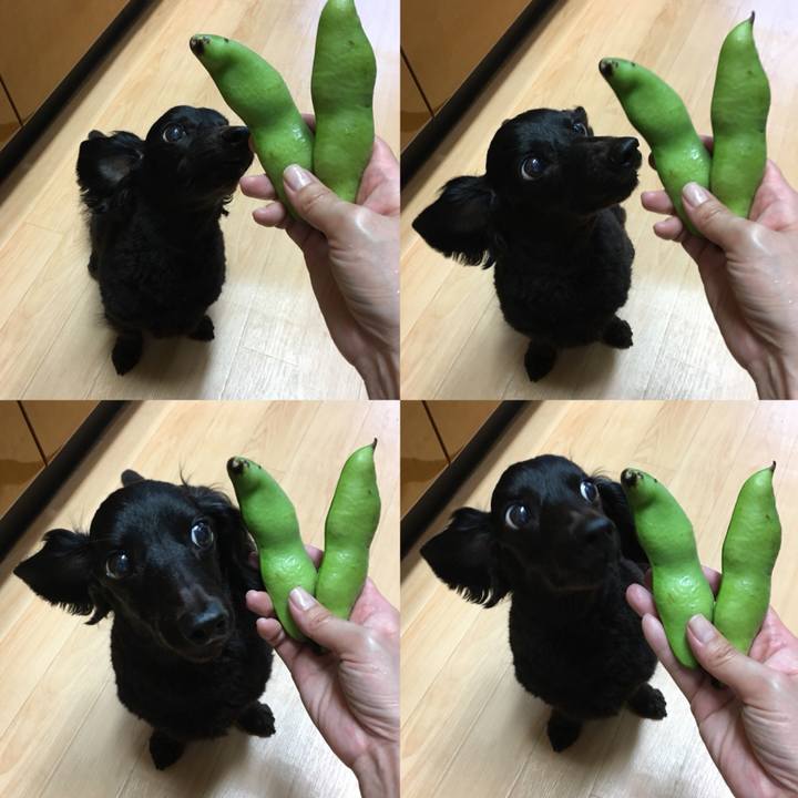 27240860 a760 4e60 8e82 12cb485a5ff5 1527029772464