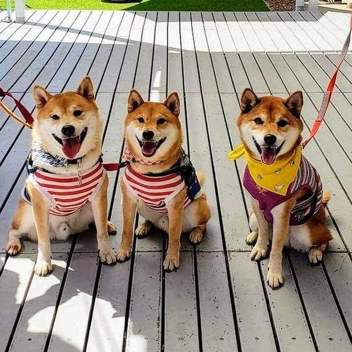 272414ab 7545 4dff 91a3 61494c987412 1632060846046