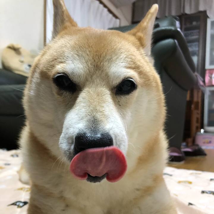 2724163d d580 4252 9aba eecb68372be4 1589639828629