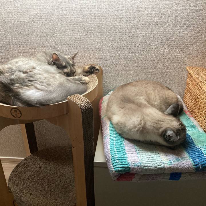 2724259e adcc 4f48 80dd 4aadb928a470 1752361284142