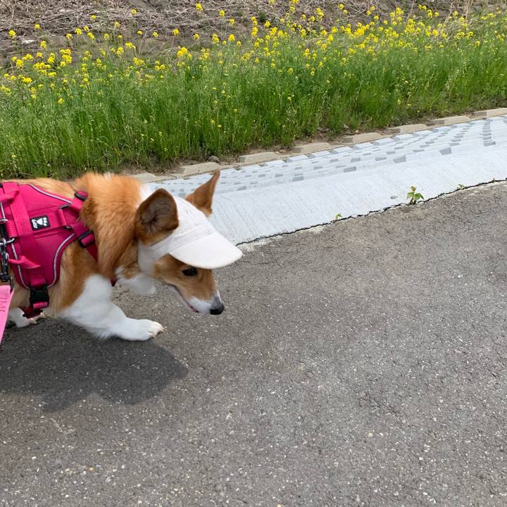 27242dff 0c35 4728 95df 11c9ac2feb4e 1680661547379