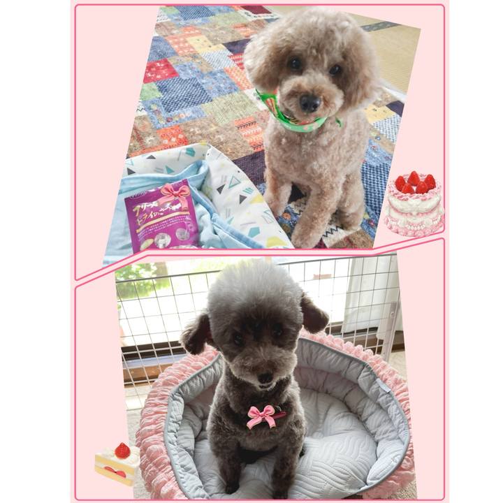 272459a2 7132 4cc4 992c 343e5637583d 1714023855176