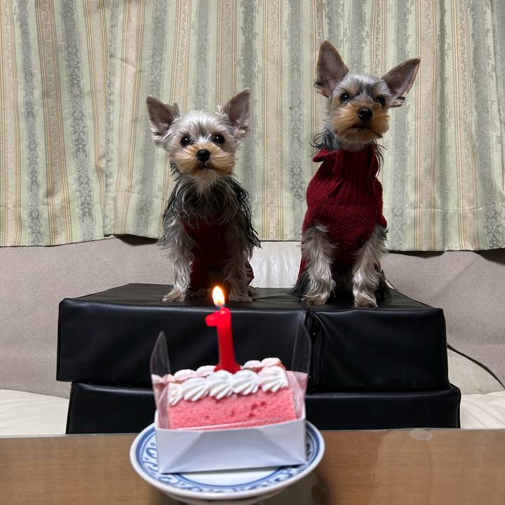 2724d14e 751e 4c23 93e6 f6633ae905cd 1735644858964