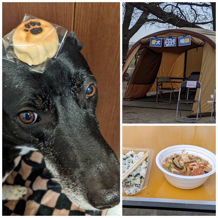 27252449 efc9 4a6f b6df c3e16bda3b3d 1708253638041