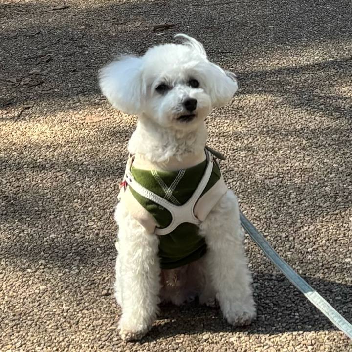 2725354d 8566 4dc4 8d9e 50d204778740 1771736617068