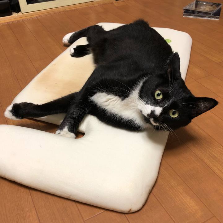 272557a2 d58a 4271 a3ee 6430c4b7b083 1538217867034