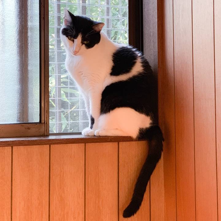 27256d93 34aa 4b85 aadd 466b29b413ad 1573005003903