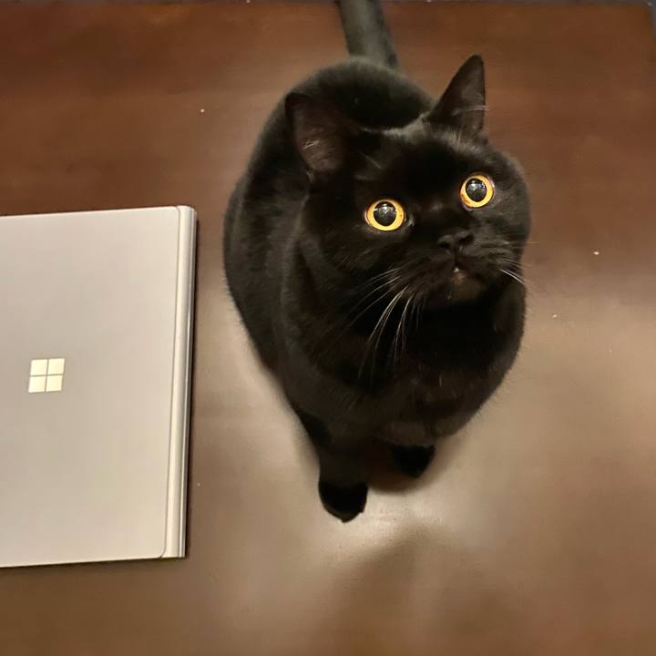 272582cc f1eb 4ae9 b777 1558e3a41d83 1674298090958