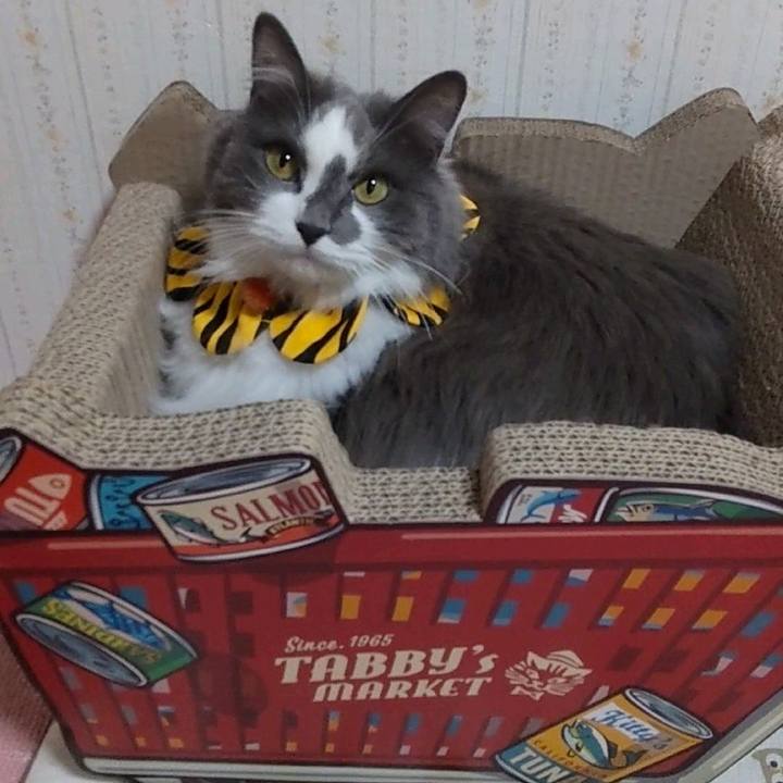 2725a200 f737 4070 a7e2 998d4b818d34 1651354437181