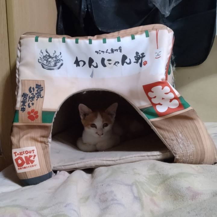 2725a6d4 5434 4f5d acdf 5d293aabe71e 1728561002004