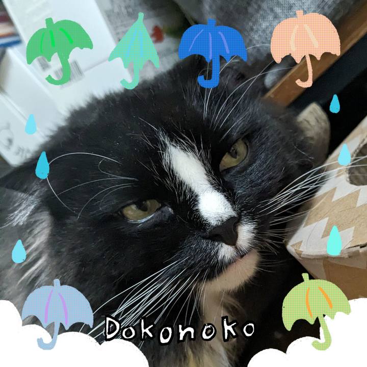 2725d818 6add 4e0e 8e71 83c6c3f657ae 1717629409874