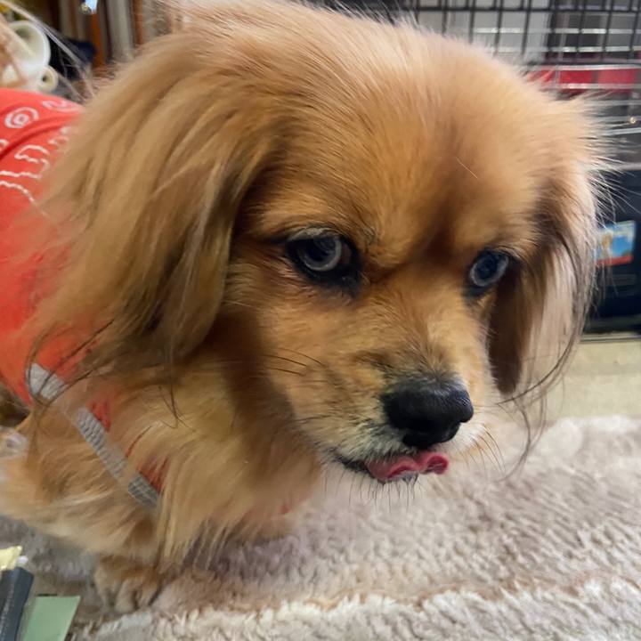 2725da7b 7f9b 4cb5 9cbd 3b8a15d08551 1642901550868