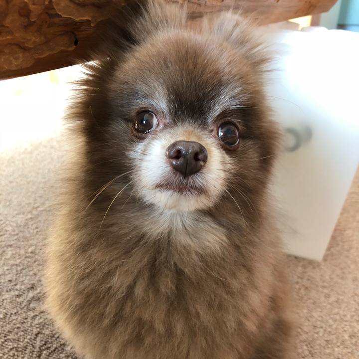 2725f169 b01d 4b67 86c9 6ee635393551 1581402064560