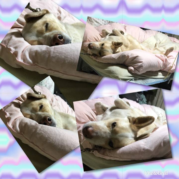 2725fc00 ee34 4bc8 a5f4 beb080b889d2 1521203240174