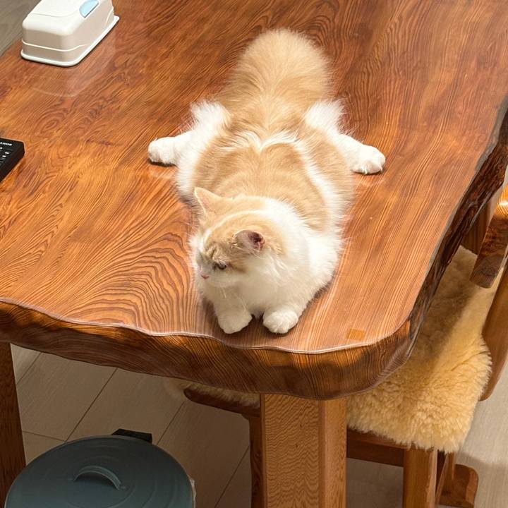 27260a9b fc9a 4dee a367 e30416747968 1756207752382