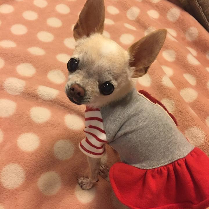 27262136 ed97 4979 a4ba 616edbe6ca78 1774090007074