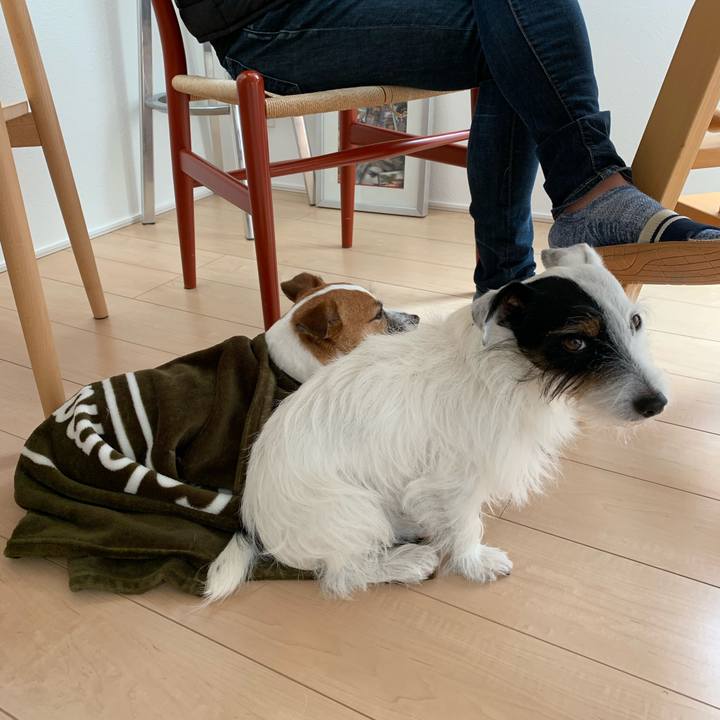 272641dd 6f2c 4fec bb64 e2aa0da9719f 1574472710751