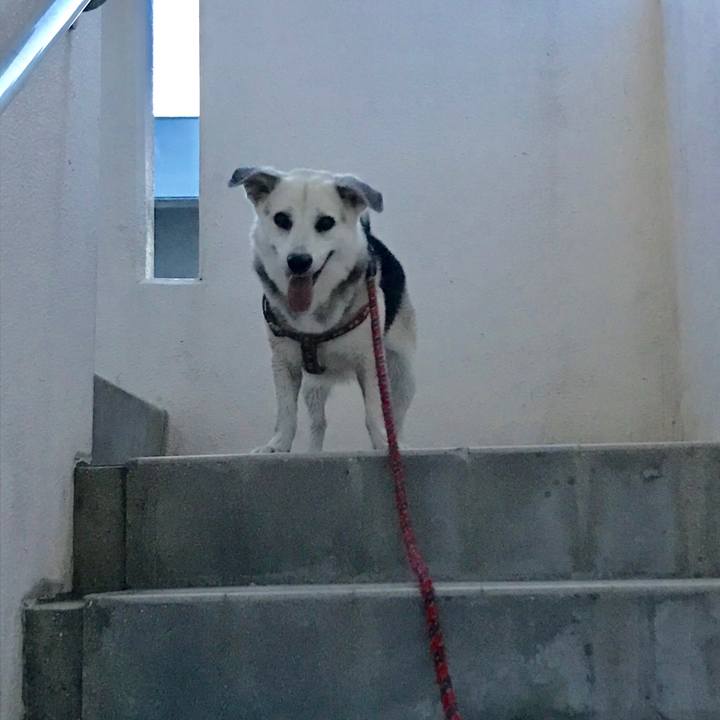 27264db6 529c 474f 821e 3f9d8b99e1a1 1562459006164