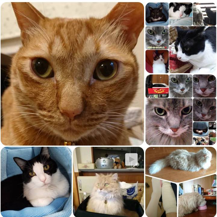 27267168 d59f 4e37 94fc b5b7f97962e9 1556190581229