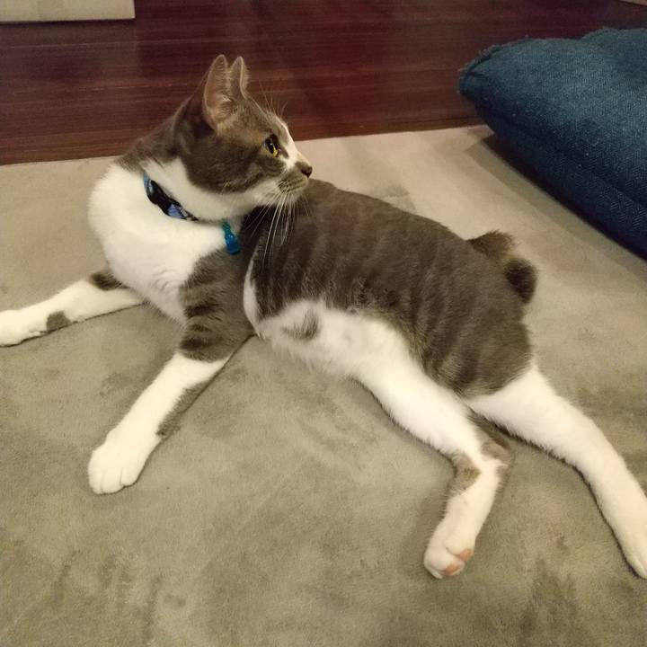 2726b697 3fb1 455f 9211 ac43ebbfcffc 1596033598745