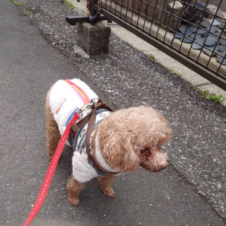 2726b9cd e5fe 4681 9b02 c4bd5f76ecb6 1711244037233