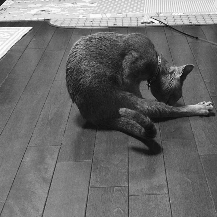 2726dfcd b4a5 4951 b9a2 f9ea64a1e3c3 1512561415544