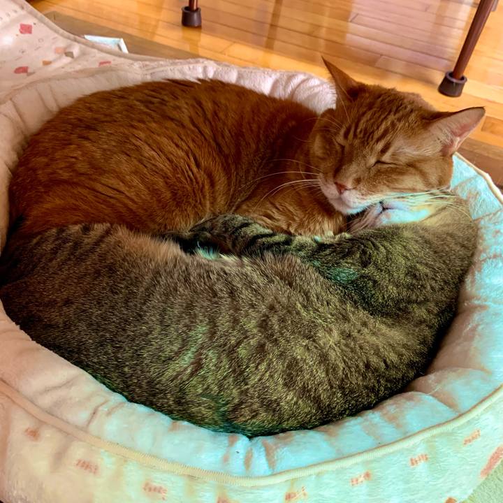 2726fafd 83ca 448a 871c bb7647ad586e 1673150803861