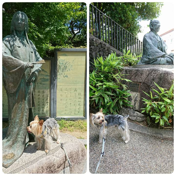 27271277 17b5 4407 b86f 460c2009526b 1561364038021