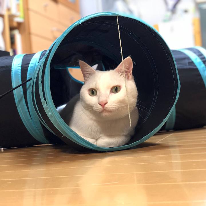 2727363a 6394 4f0e bce3 033c0fe0a415 1535457179697