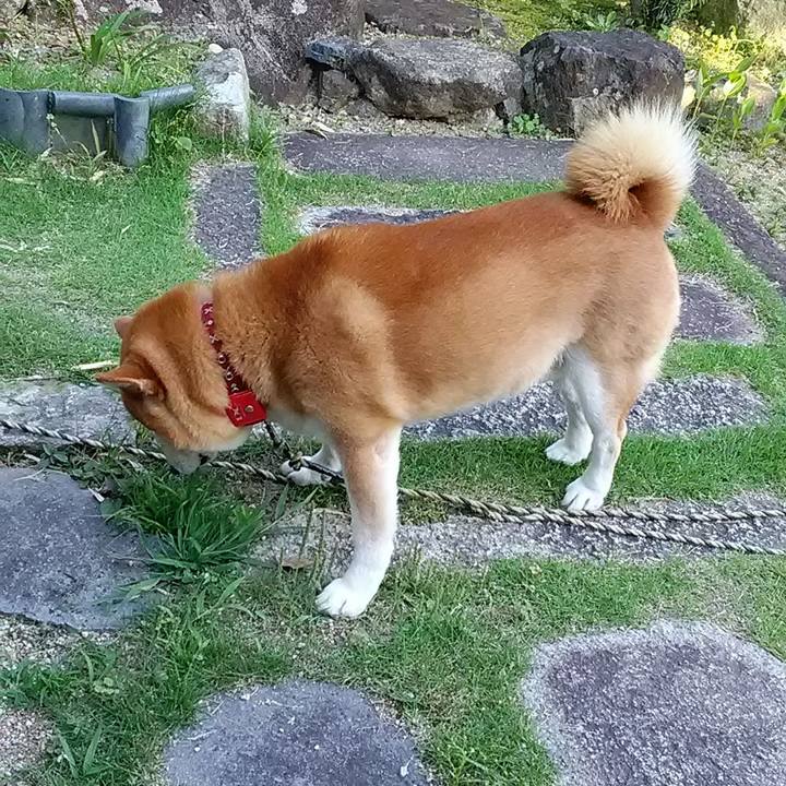 2727990f f9ea 4dbd a2cd 0ad78b04fb0d 1623638365808