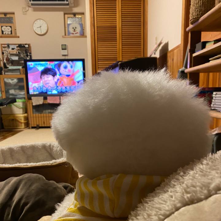 27279d7a 73d6 42c1 8bcb 25e5cea9dcc6 1639222251828