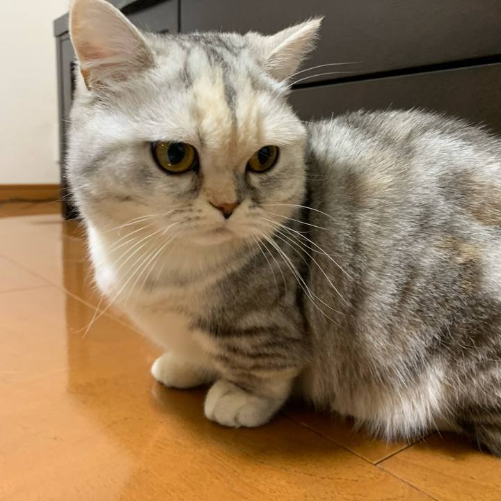 2727b1cd df24 495b a6b5 2dbcca92c1f8 1709553652238