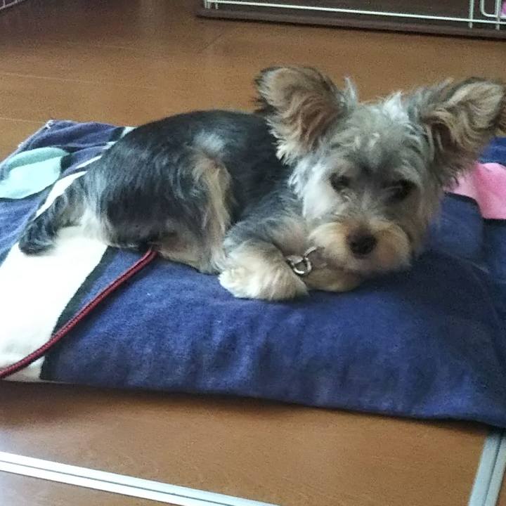 2728049f 872c 4088 870a 96f2fd7b542f 1538213675068