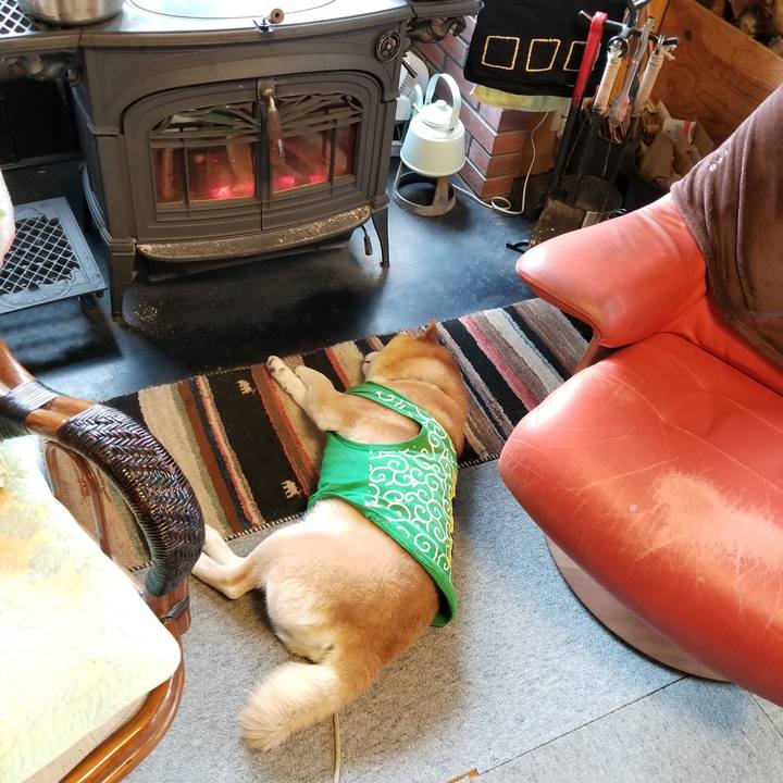 2728601b e52e 47e5 bc78 f918fd53077e 1586824528204