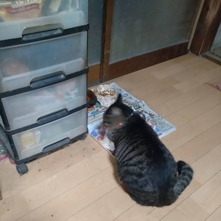 2728718b 1906 4e2d b5b2 78bd04322458 1666044093257