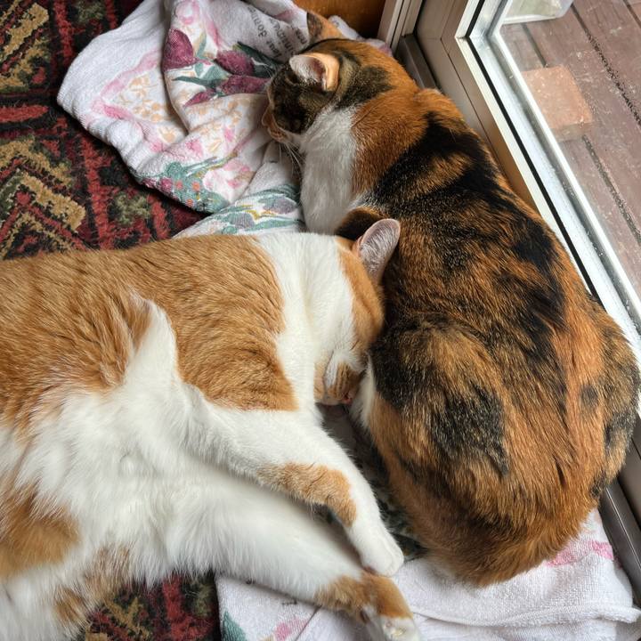 2728abab 1eeb 4750 a723 595c30b66b3f 1758159601139