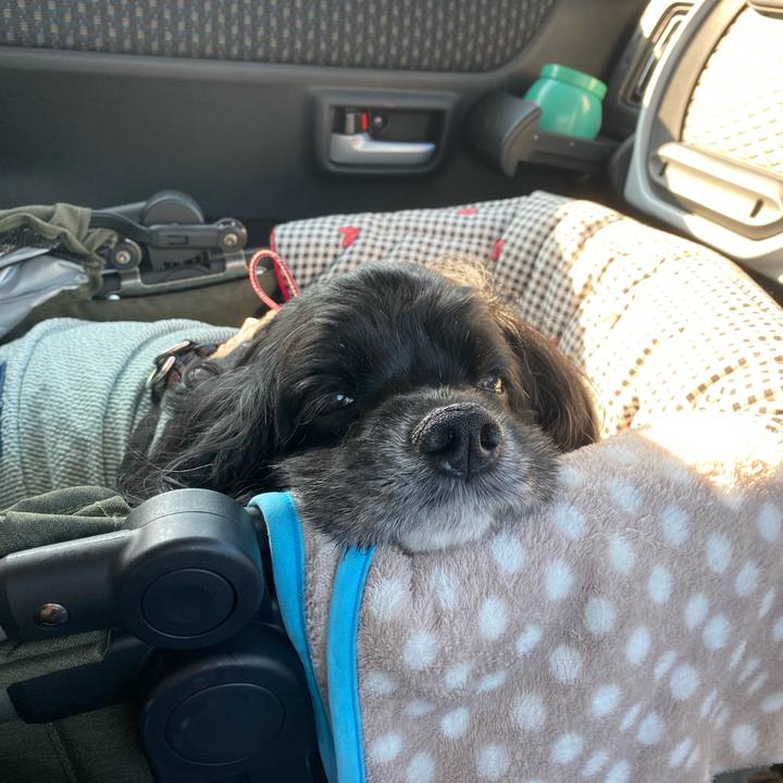 2728b7bf cd93 4701 bca2 900b40969b33 1699258057249