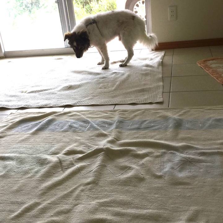 2728d344 333b 4dd3 bf7b 81f68afc099e 1602337097319